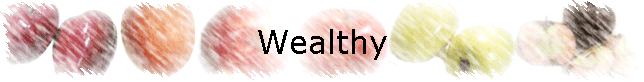 Wealthy