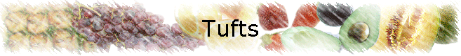 Tufts