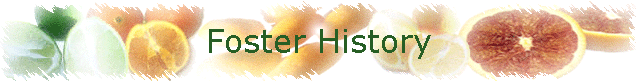 Foster History