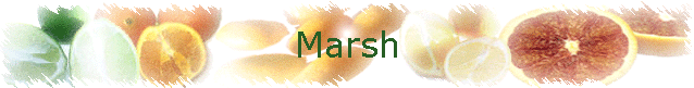 Marsh