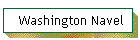 Washington Navel