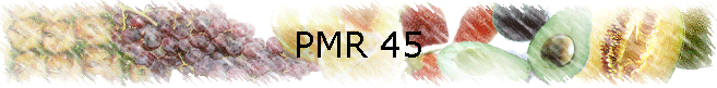 PMR 45