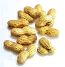 Peanut.jpg (40485 bytes)