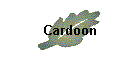 Cardoon