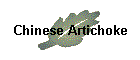 Chinese Artichoke