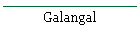 Galangal