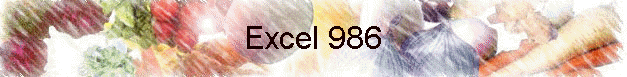 Excel 986