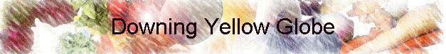 Downing Yellow Globe