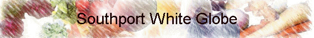Southport White Globe