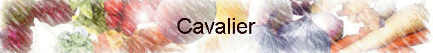 Cavalier