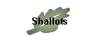 Shallots