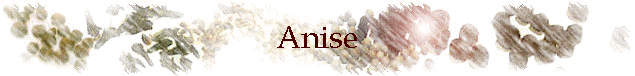 Anise