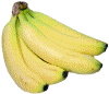 Banana B.jpg (88800 bytes)