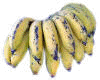 banana_fingerling.jpg (22172 bytes)