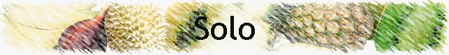 Solo