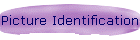 Picture Identification