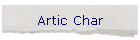 Artic Char