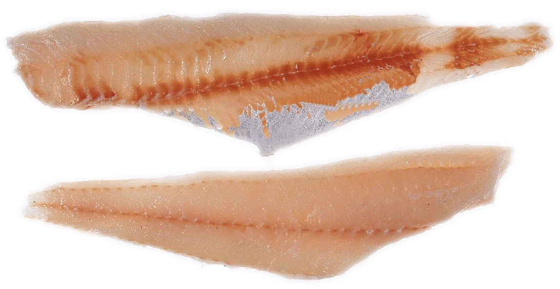 cod tails