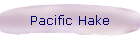 Pacific Hake