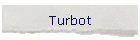 Turbot