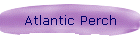 Atlantic Perch