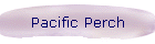 Pacific Perch