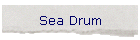 Sea Drum