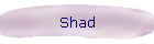 Shad