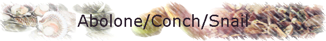 Abolone/Conch/Snail