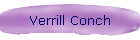 Verrill Conch