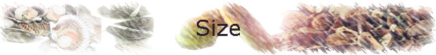 Size