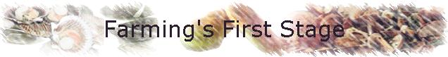 Farming's First Stage