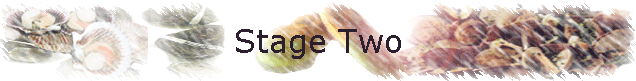 Stage Two