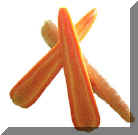 Carrot B.jpg (61602 bytes)